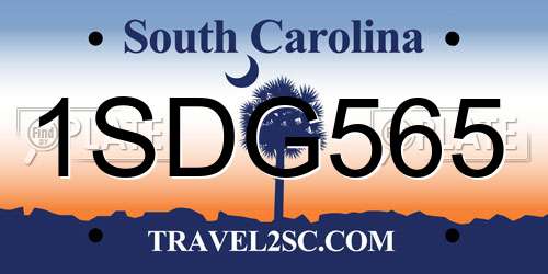 1SDG565 South Carolina License Plate