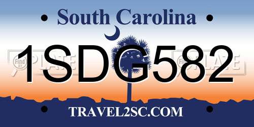 1SDG582 South Carolina License Plate