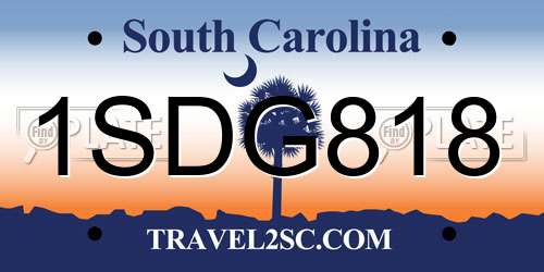 1SDG818 South Carolina License Plate