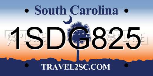 1SDG825 South Carolina License Plate