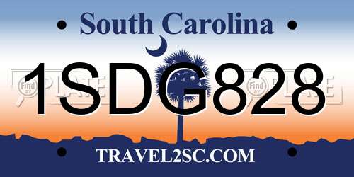 1SDG828 South Carolina License Plate