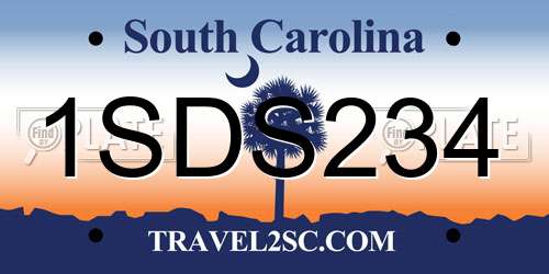 1SDS234 South Carolina License Plate