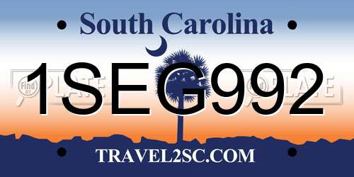 1SEG992 South Carolina License Plate