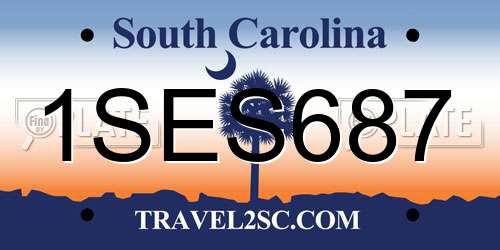 1SES687 South Carolina License Plate