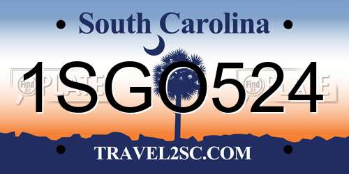 1SGO524 South Carolina License Plate