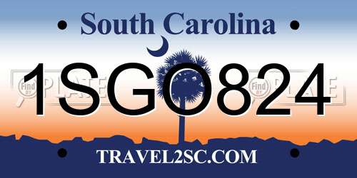 1SGO824 South Carolina License Plate