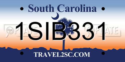 1SIB331 South Carolina License Plate