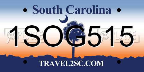 1SOG515 South Carolina License Plate