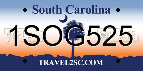 1SOG525 South Carolina License Plate