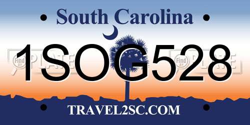 1SOG528 South Carolina License Plate