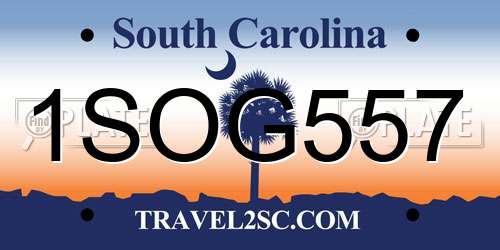 1SOG557 South Carolina License Plate