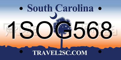 1SOG568 South Carolina License Plate