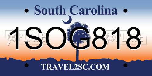 1SOG818 South Carolina License Plate