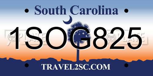 1SOG825 South Carolina License Plate