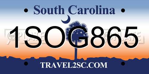 1SOG865 South Carolina License Plate