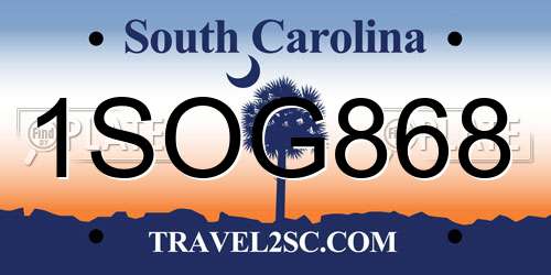 1SOG868 South Carolina License Plate