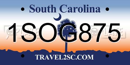 1SOG875 South Carolina License Plate