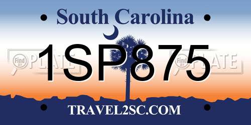 1SP875 South Carolina License Plate