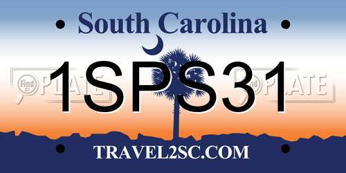 1SPS31 South Carolina License Plate