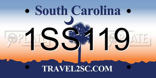 1SS119 South Carolina License Plate