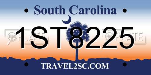 1ST8225 South Carolina License Plate