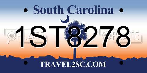 1ST8278 South Carolina License Plate