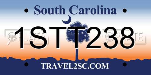 1STT238 South Carolina License Plate