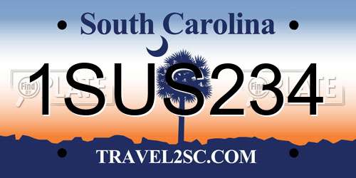 1SUS234 South Carolina License Plate