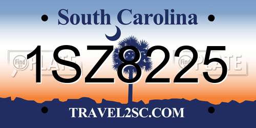 1SZ8225 South Carolina License Plate