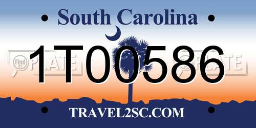 1T00586 South Carolina License Plate