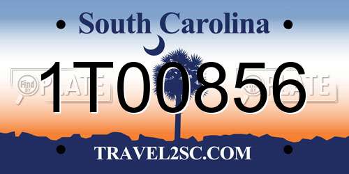 1T00856 South Carolina License Plate