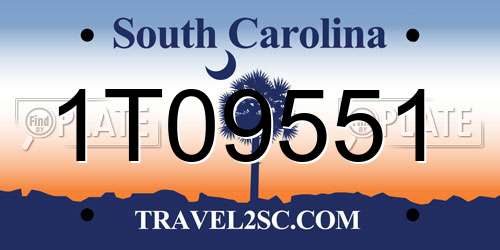 1T09551 South Carolina License Plate