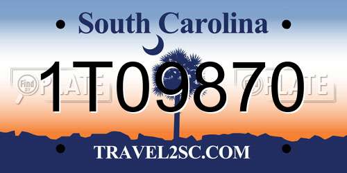 1T09870 South Carolina License Plate