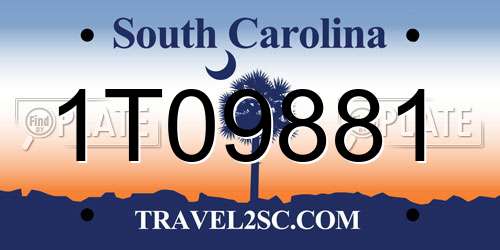 1T09881 South Carolina License Plate