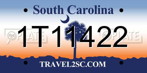 1T11422 South Carolina License Plate