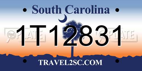 1T12831 South Carolina License Plate