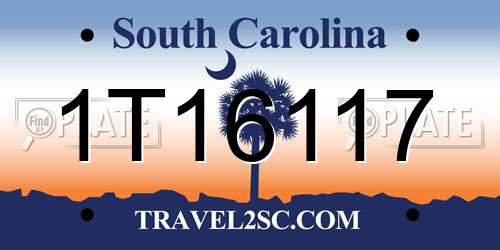 1T16117 South Carolina License Plate