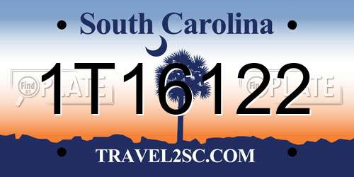 1T16122 South Carolina License Plate