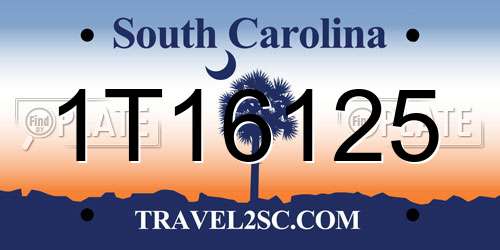 1T16125 South Carolina License Plate