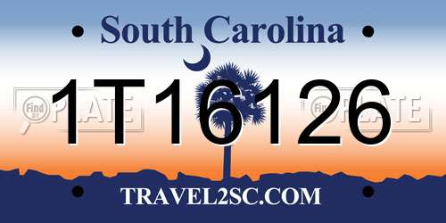 1T16126 South Carolina License Plate