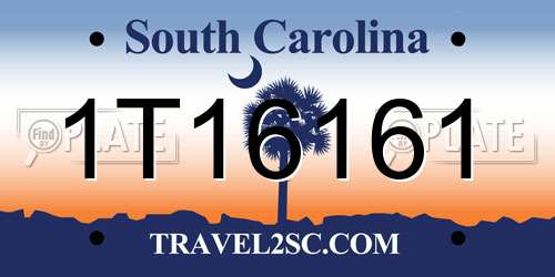 1T16161 South Carolina License Plate