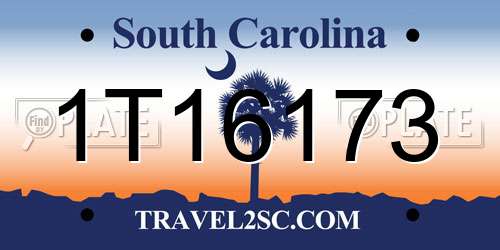 1T16173 South Carolina License Plate
