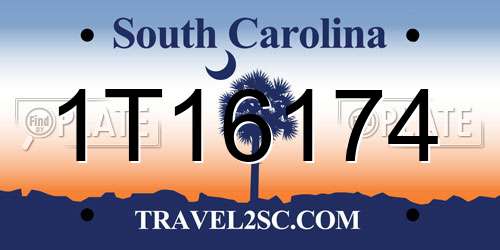 1T16174 South Carolina License Plate