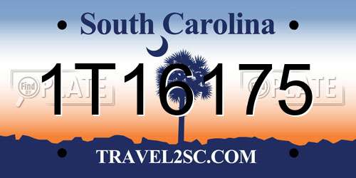 1T16175 South Carolina License Plate