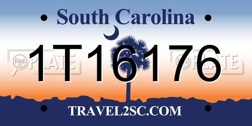 1T16176 South Carolina License Plate