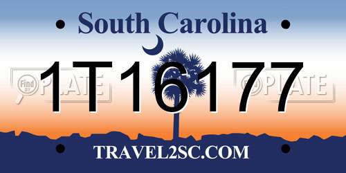 1T16177 South Carolina License Plate