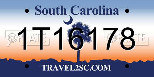 1T16178 South Carolina License Plate