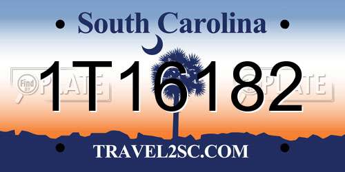 1T16182 South Carolina License Plate