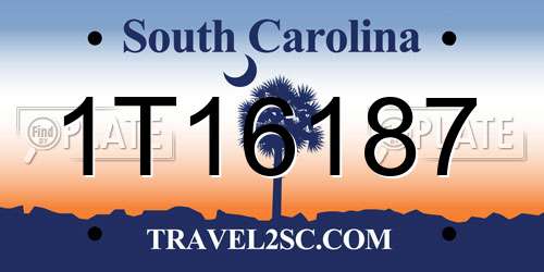 1T16187 South Carolina License Plate