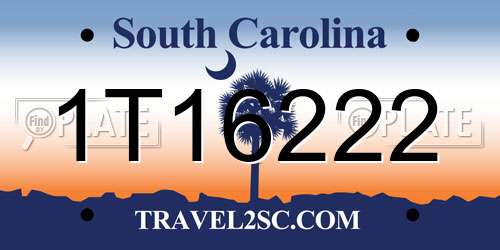 1T16222 South Carolina License Plate